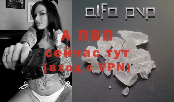 винт Елизово