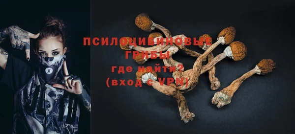 а пвп мука Дмитров
