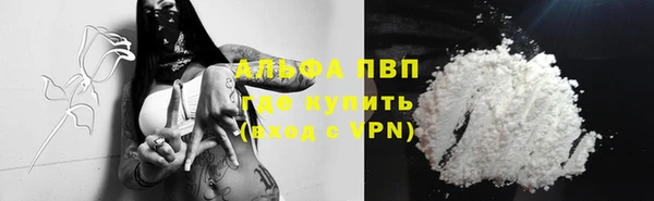винт Елизово