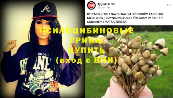 mdpv Елабуга