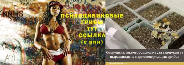 мяу мяу мука Ельня