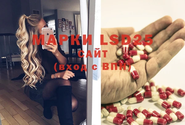 винт Елизово