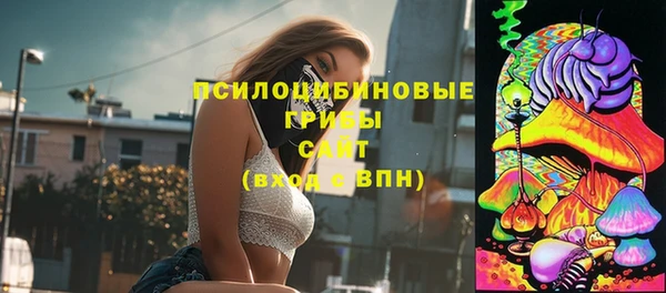 винт Елизово