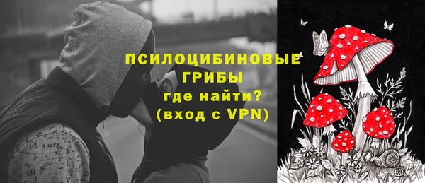 винт Елизово