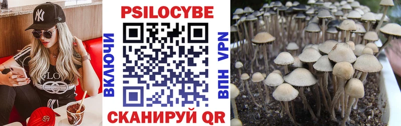 Псилоцибиновые грибы MAGIC MUSHROOMS  Калининград 